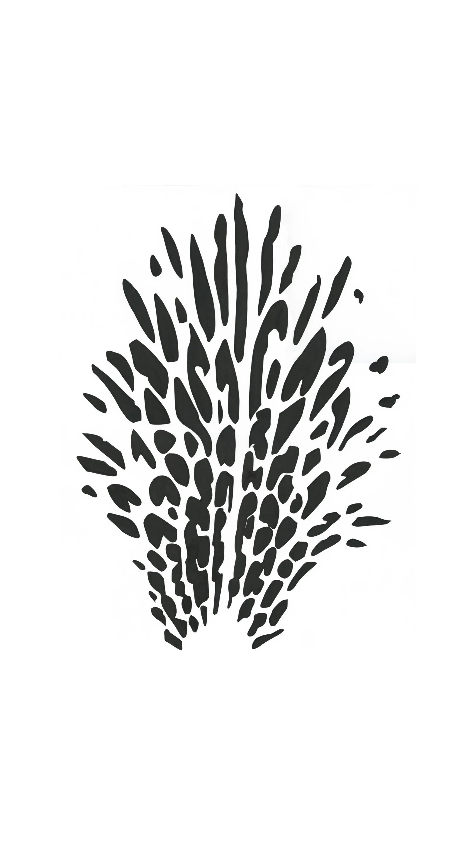 Landscape Stewardship Collective is Officially a 501(c)(3) Nonprofit