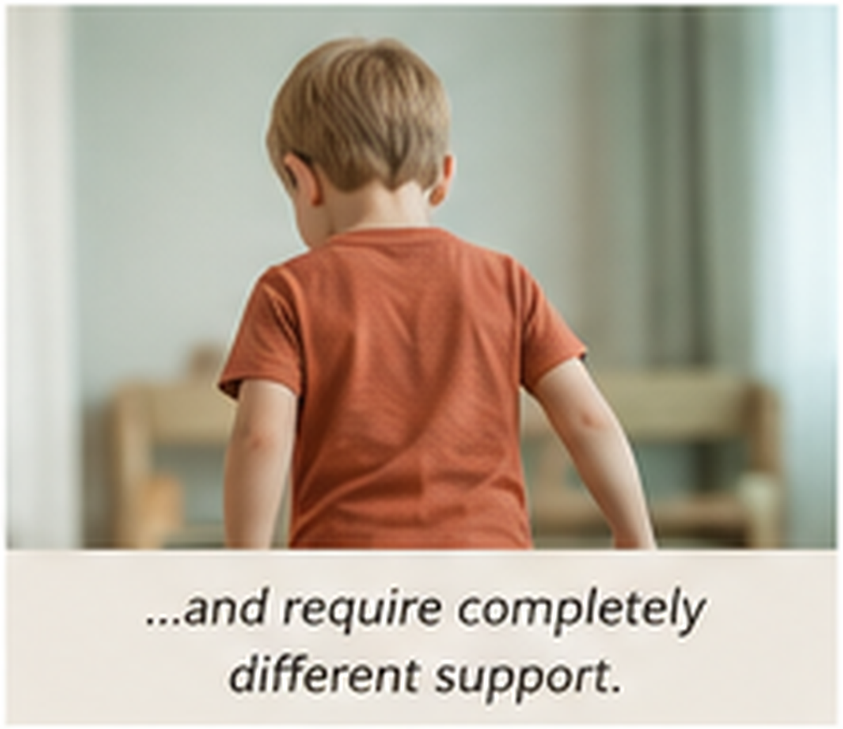 post2_panel_3_different_support.png