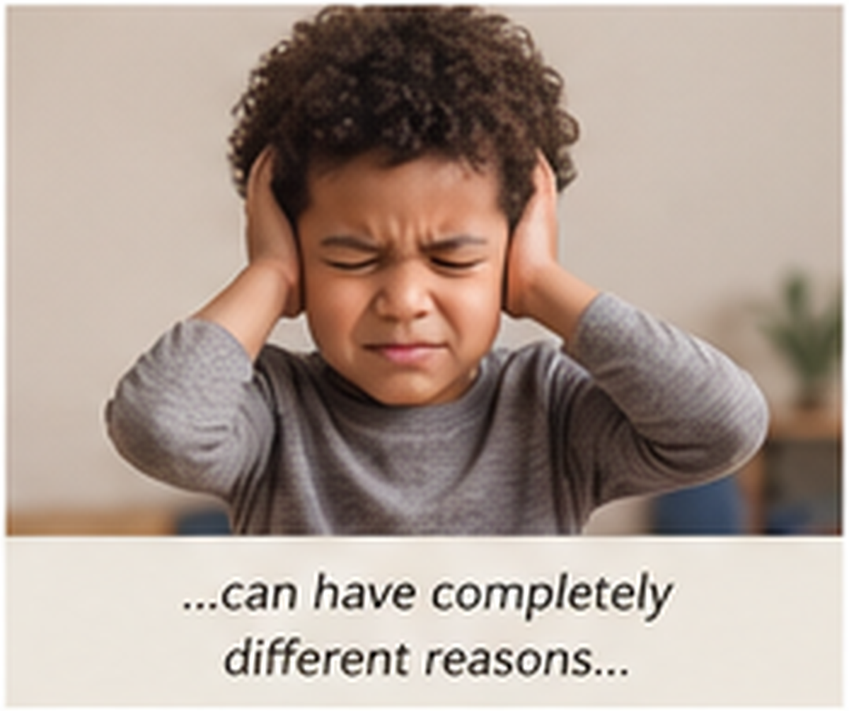 The Same Behavior Can Have Different Reasons