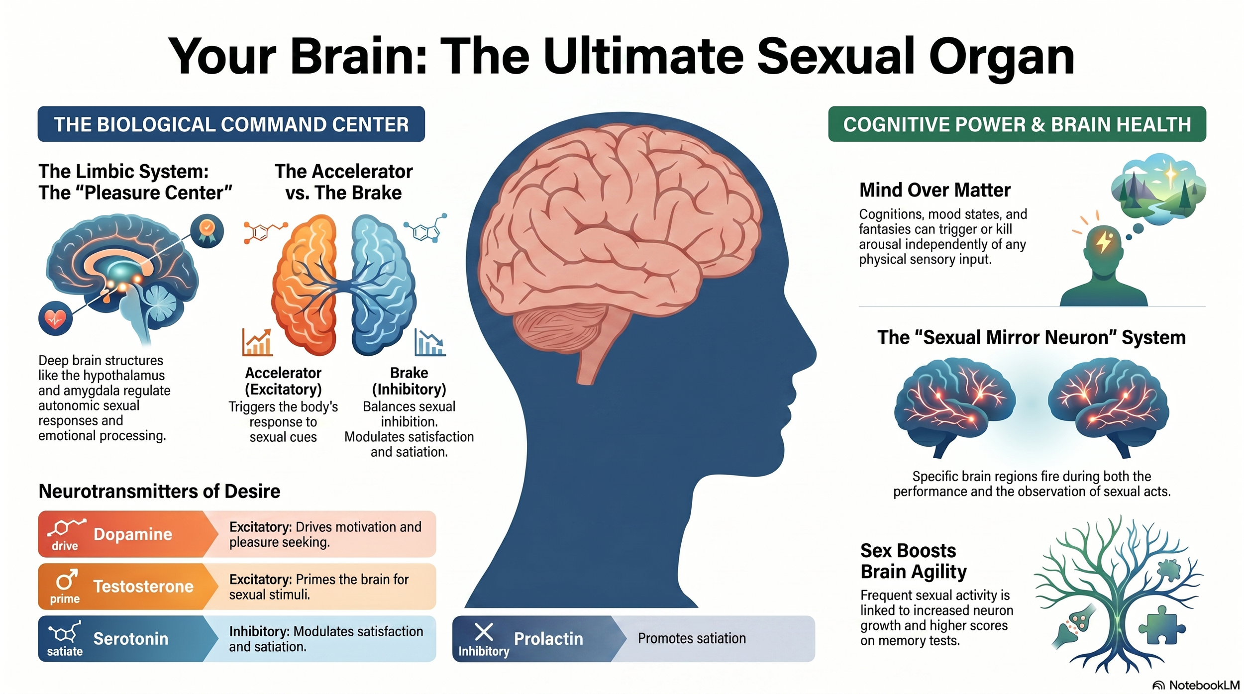 The brain is the biggest and most important sexual organ!