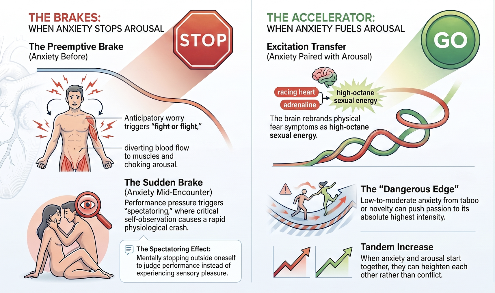How the timing of anxiety impacts sexual arousal