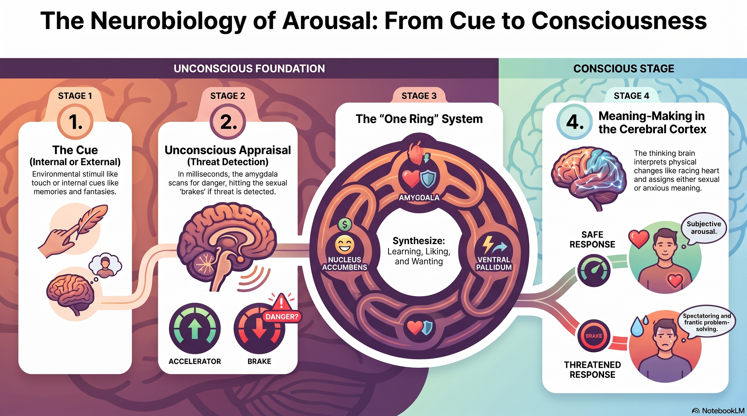 How the brain determines if a cue is sexual or a threat