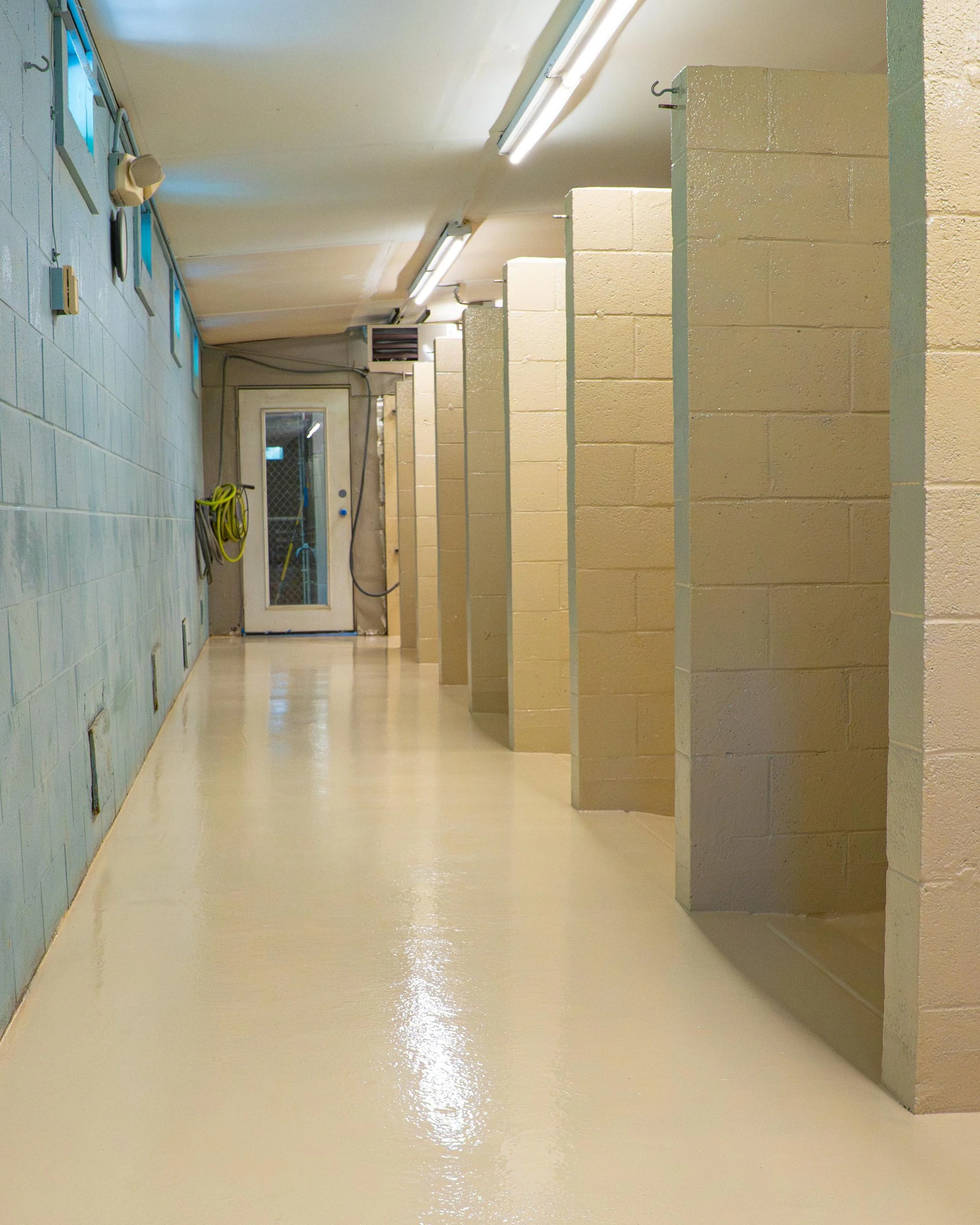 dog kennel floor bellingham