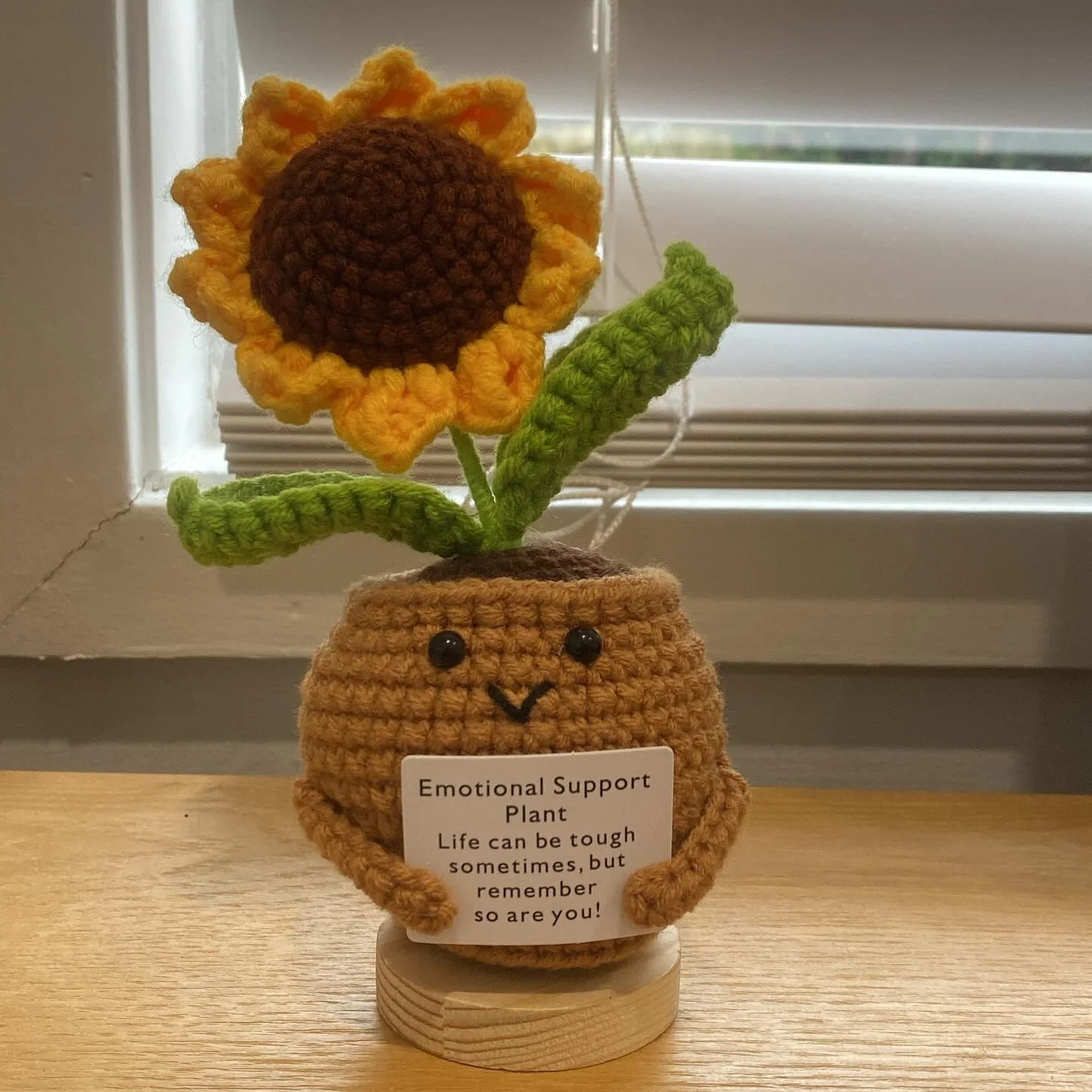 Introducing my new little friend @katelandetecounselling 

My &ldquo;Emotional Support Plant&rdquo; ❤️❤️❤️ 

#katelandetecounselling #emotionalsupport #therapy #centralcoastemdr #thelittlethings