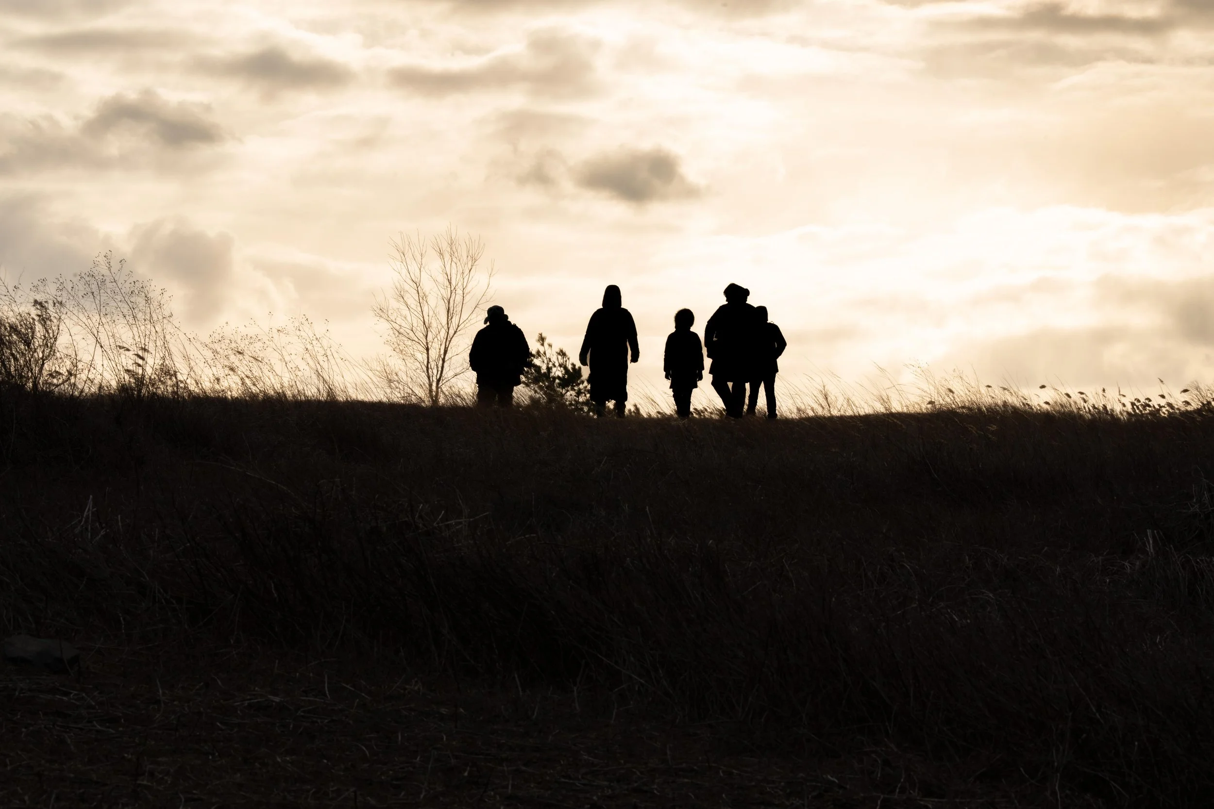 Silouette - Family in Chisolm Park-03638.min.jpg