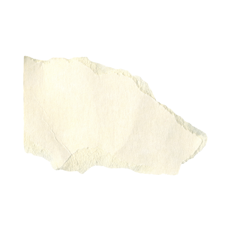 torn paper