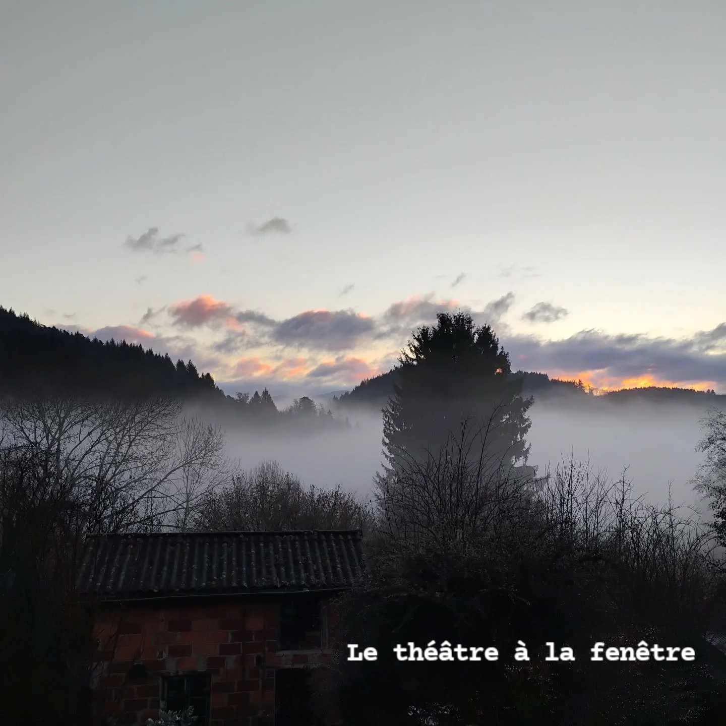 Le th&eacute;&acirc;tre &agrave; la fen&ecirc;tre 

Alors je vais 
Encore 
Pour un instant 
Etre sa spectatrice 

#theatre #rise #spectacledelanature #sensibilit&eacute; #snailmail