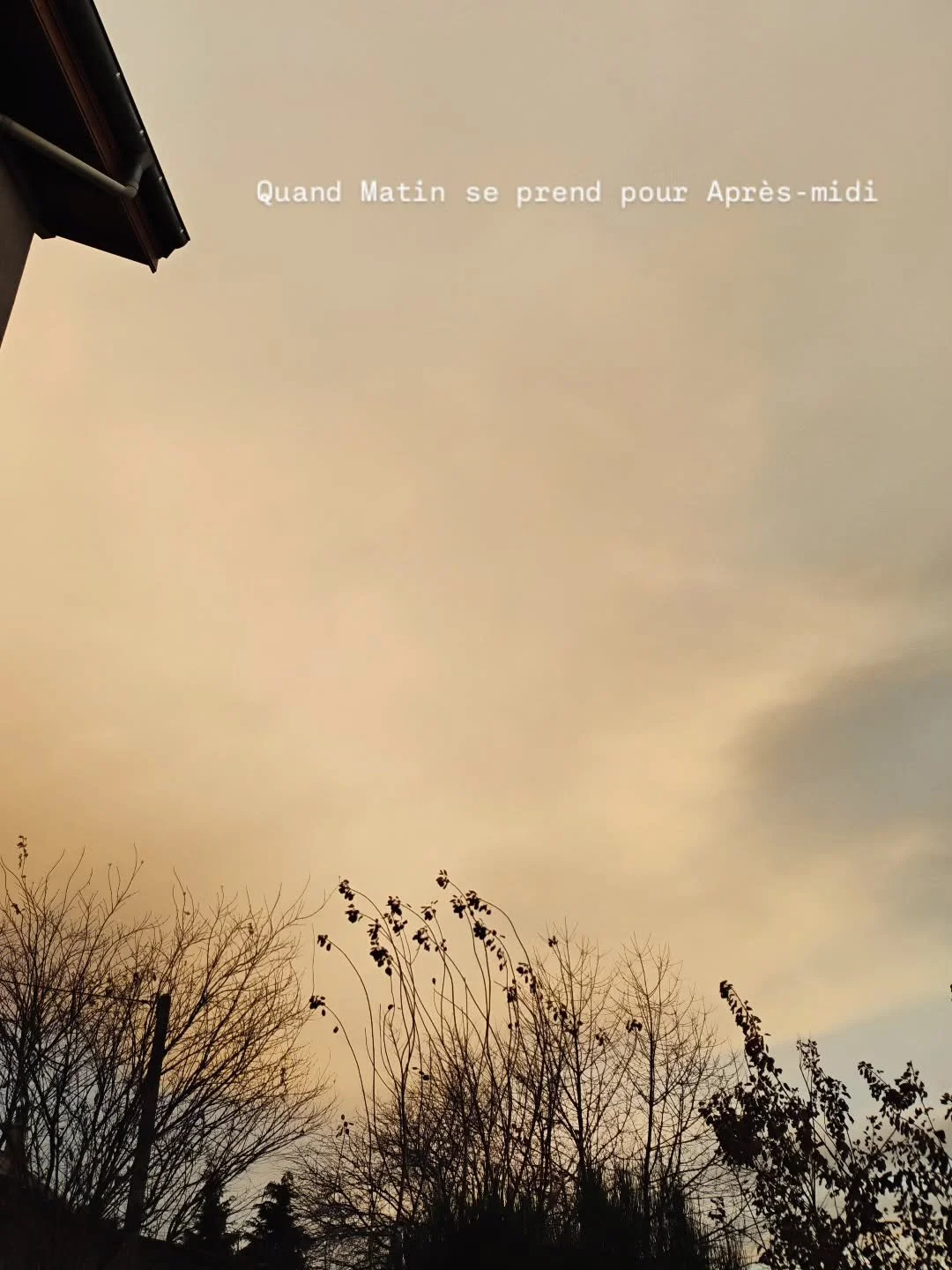 Quand Matin se prend pour Apr&egrave;s-midi 

#poesie #salesconnes #courrierpo&eacute;tique #slowlife #campagne