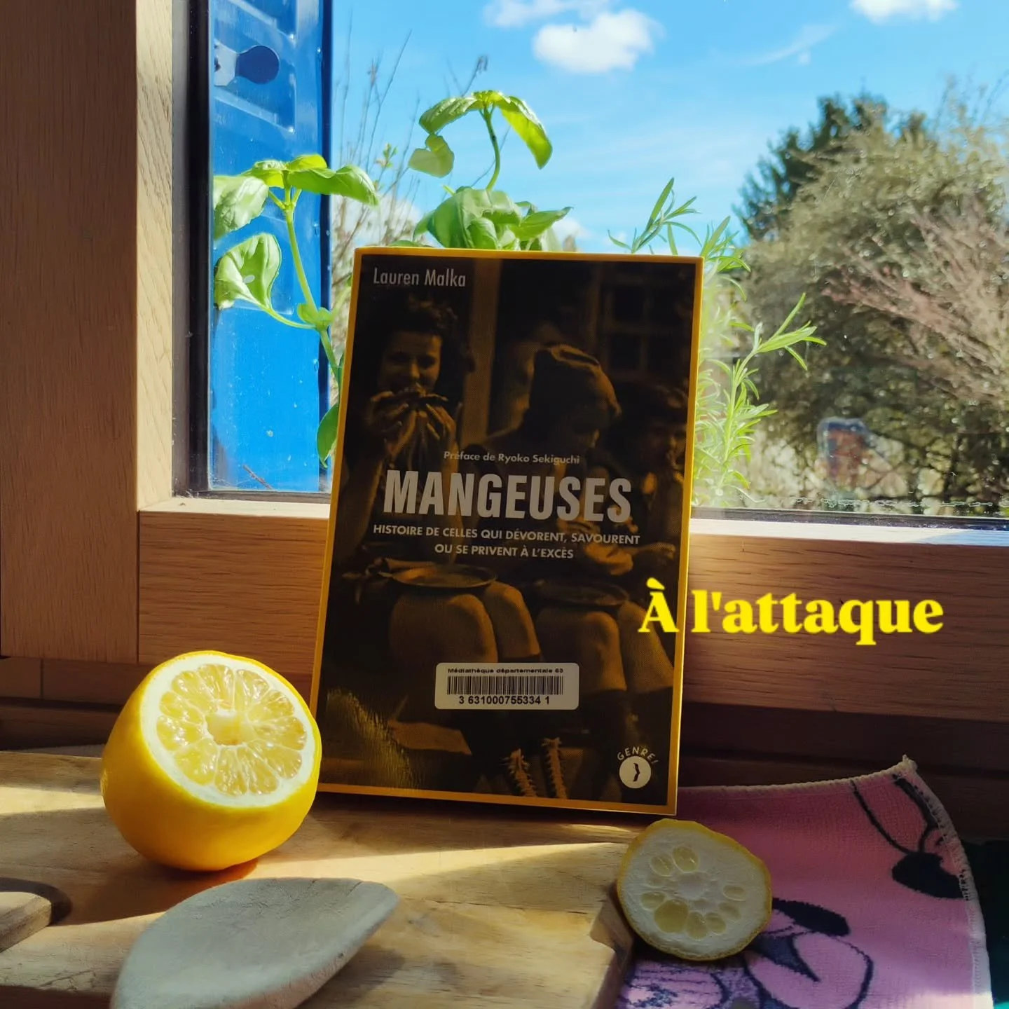 Joie du jour
Lecture au soleil 
Les filles jouent encore et encore

"Mangeuses, histoire de celles qui d&eacute;vorent, savourent ou se privent &agrave; l'exc&egrave;s"  de Lauren Malka, aux &eacute;tions les P&eacute;r&eacute;grines.
 

#m