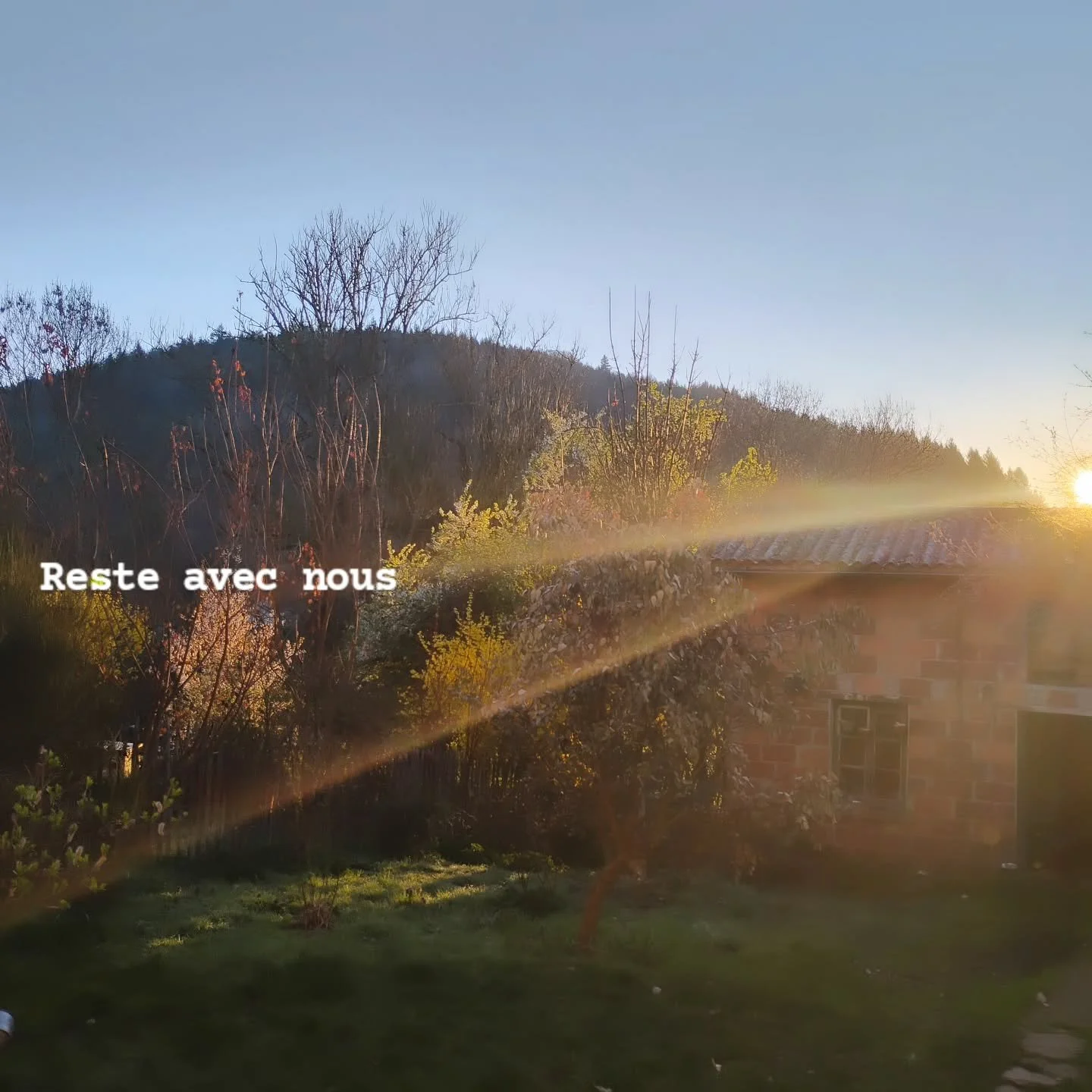 Reste avec nous 
Dans l'herbe fra&icirc;che 
&Eacute;clats d'espoir 

#sunrise #poeme #campagne #garden #bondire