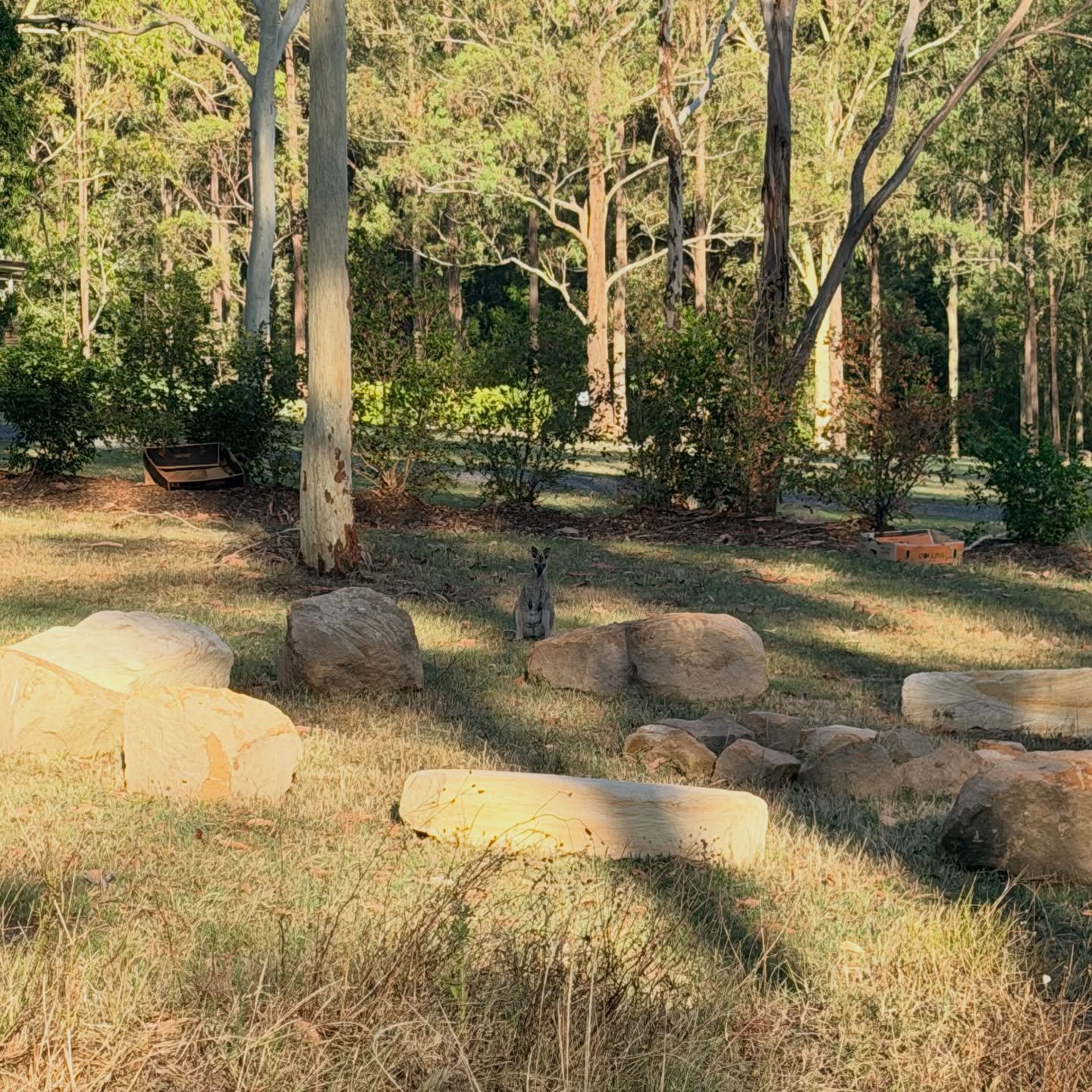 This little guy is waiting for the weaving circle next weekend with @spiral_sisters for @treasuretrail3r 

Everything is neat and tidy. The shadows are long. Bring a rug or a cushion if you like things super comfy&hellip; but otherwise the rocks and 