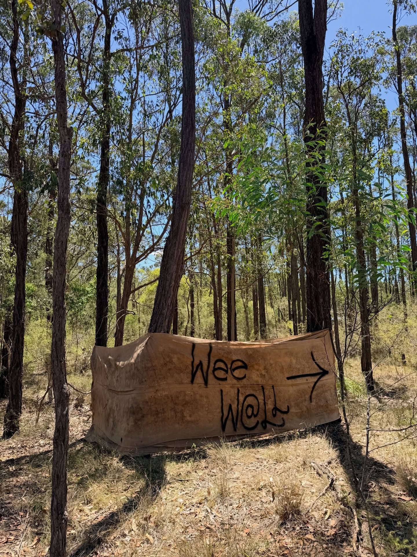 This is what festival toilets look like on the farm folks!! Portaloos are coming&hellip; but to keep them cleaner &amp; less congested&hellip; fellas - this is for your standing jobs while on property at In Our Hands Family Farm. Strictly sitting bus