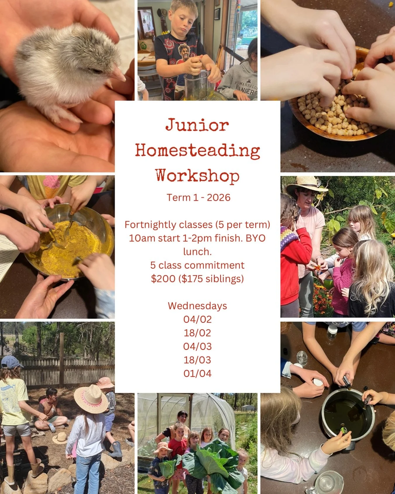A playful, practical learning series designed especially for homeschooled children aged 5-12 who love to get their hands dirty and keep their minds curious. Each workshop explores a different homesteading skill &mdash; from planting seeds and caring 