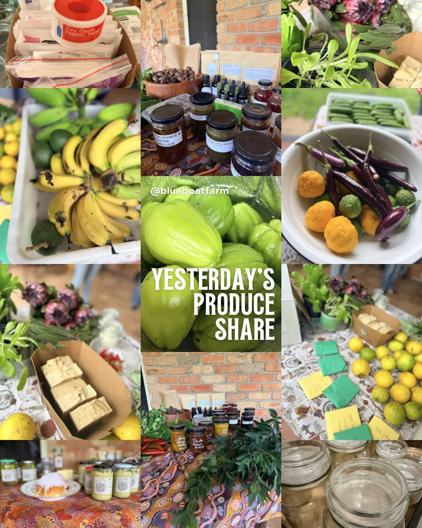 Awesome group of sharing folk gathered yesterday to participate in a cashless economy. Where gifting your excess / abundance is the name of the game. Let&rsquo;s see if I can remember all the things on offer!

In the homegrown category we had some pr