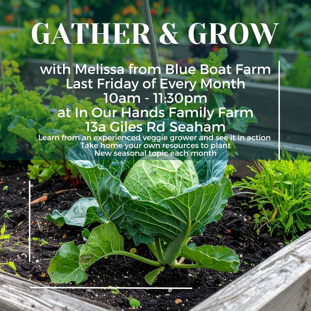 I almost need to pinch myself that this goodness happens every month!! Right here in my neighbourhood (well in my front yard to be honest!)

If you want to grow your own food&hellip; I guarantee that you&rsquo;ll get a ridiculous amount of value from