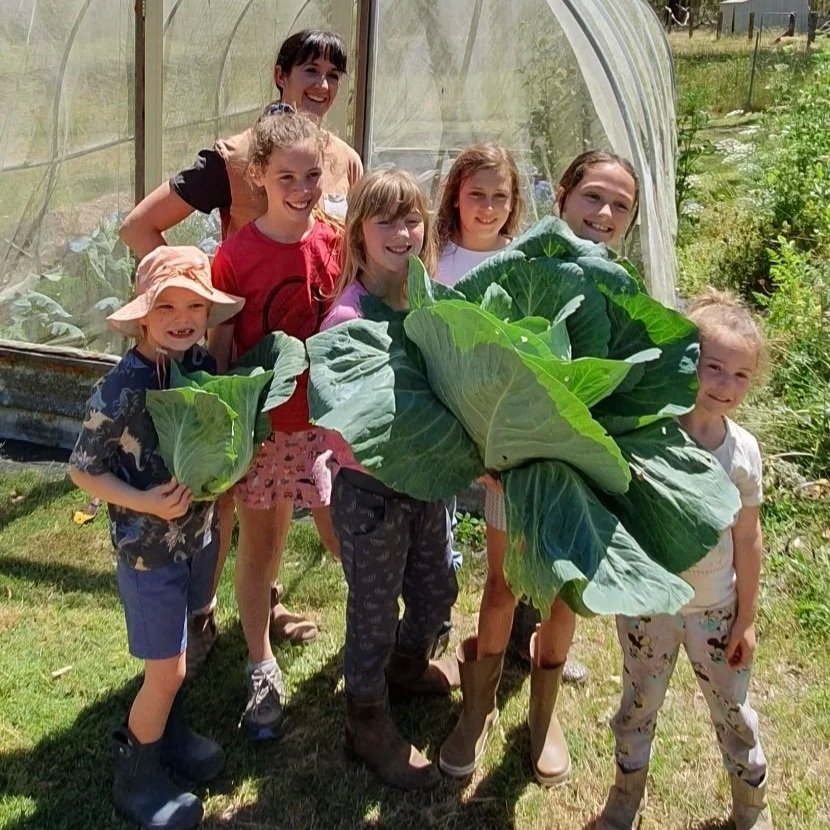 Attachment.jpg (Copy)