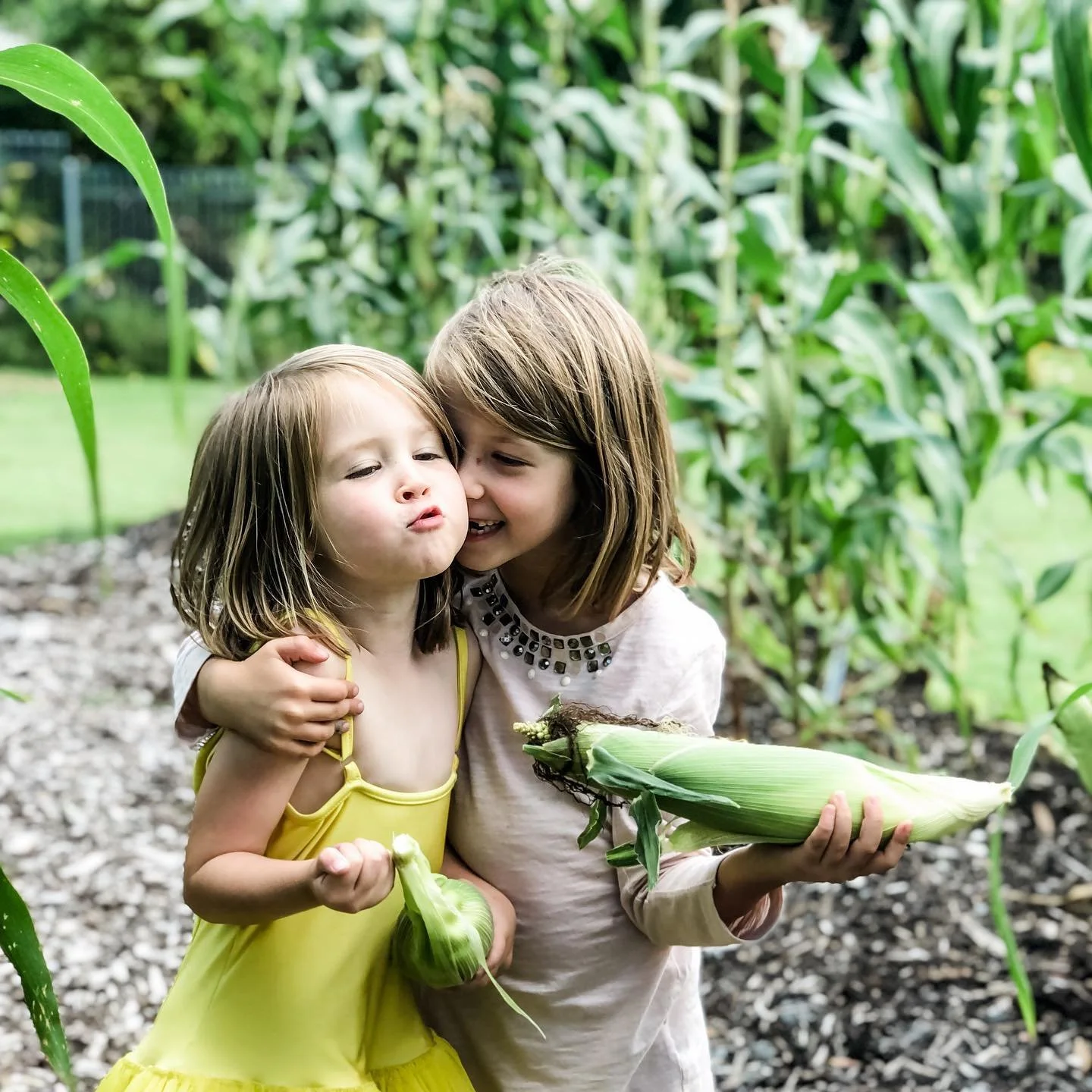 Kids Corn.jpg