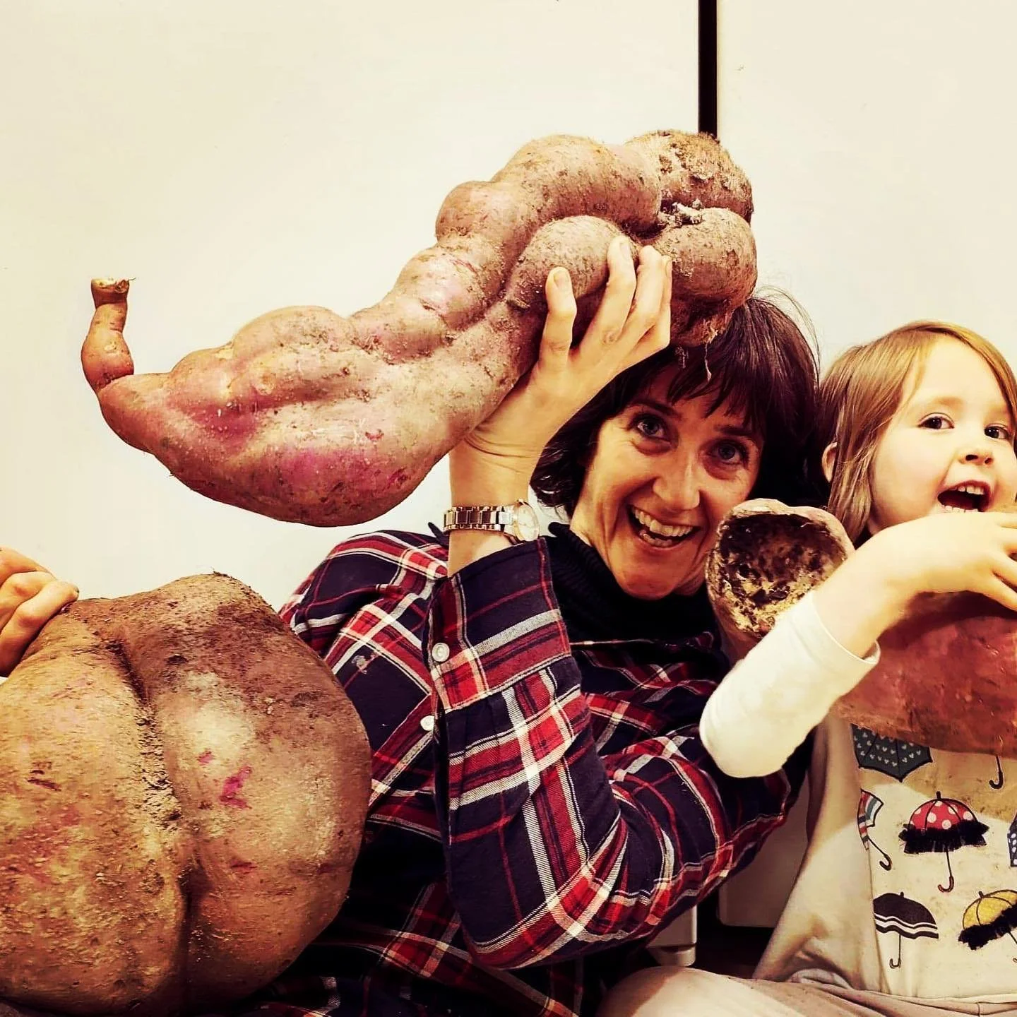 Sweet Potatoes.jpg