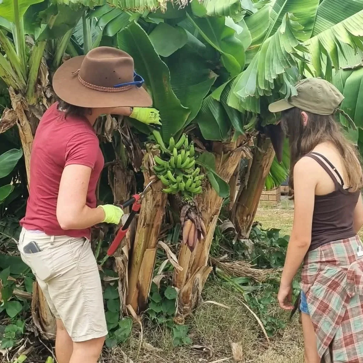 9c9ee4ef9a94e20f522c0a875d7d5eeb.jpg (Copy)