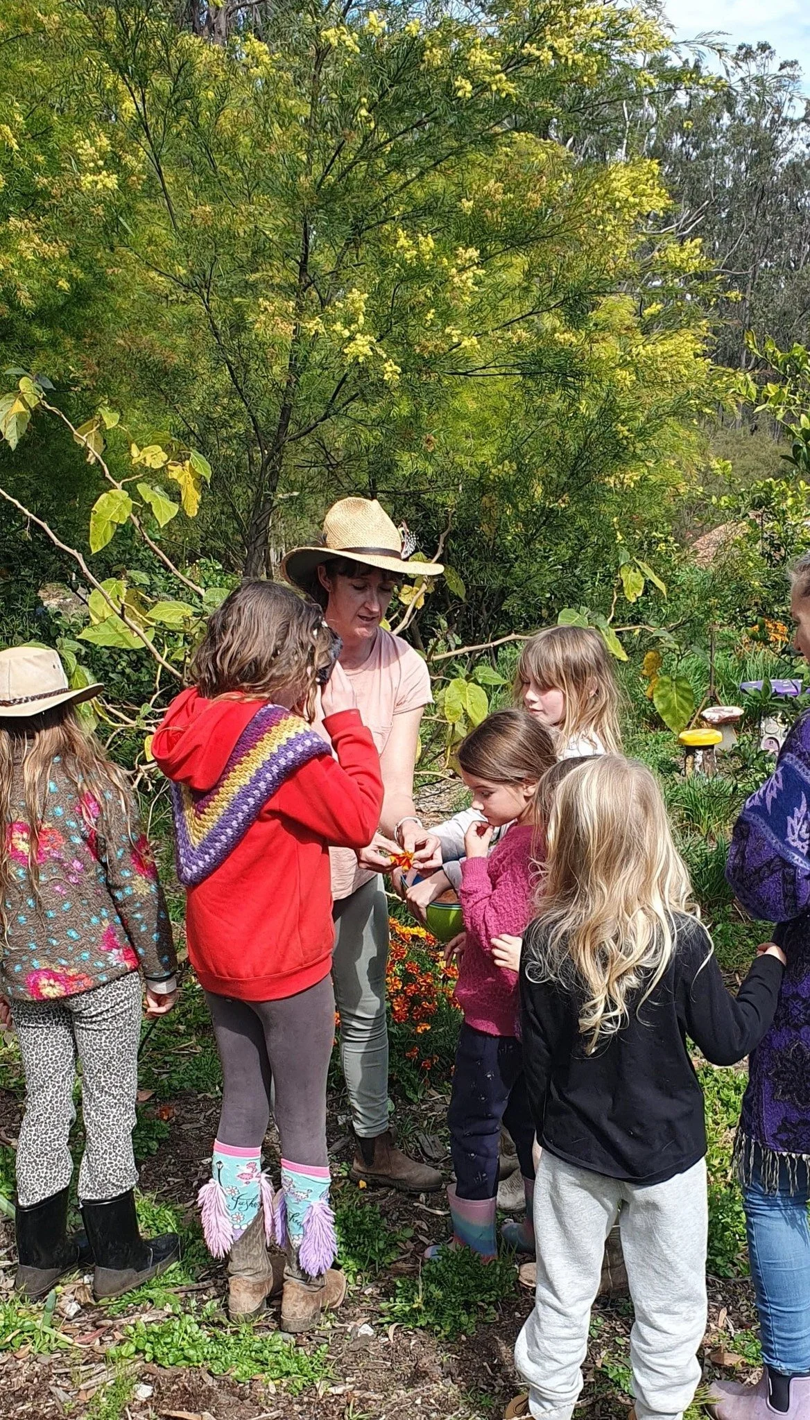 Junior Homesteaders Club Garden.jpg