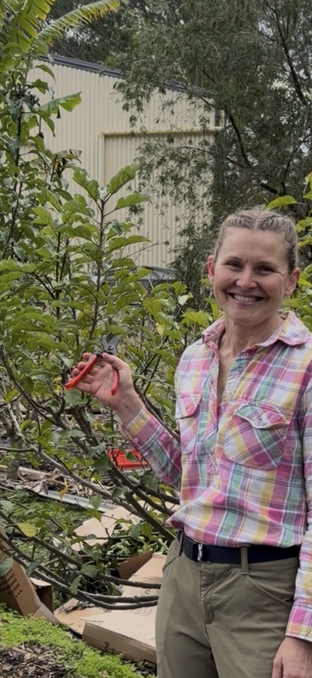 Fruit Tree Stories: Observing & Understanding for Confident Fruit Tree Growing