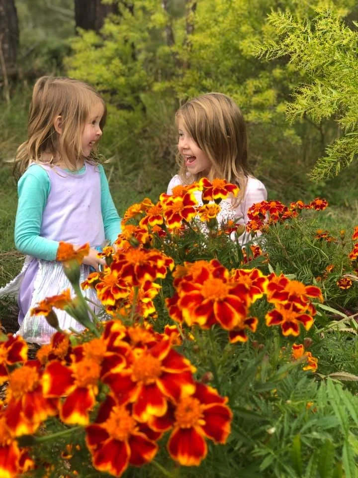 Kids Marigolds.jpg