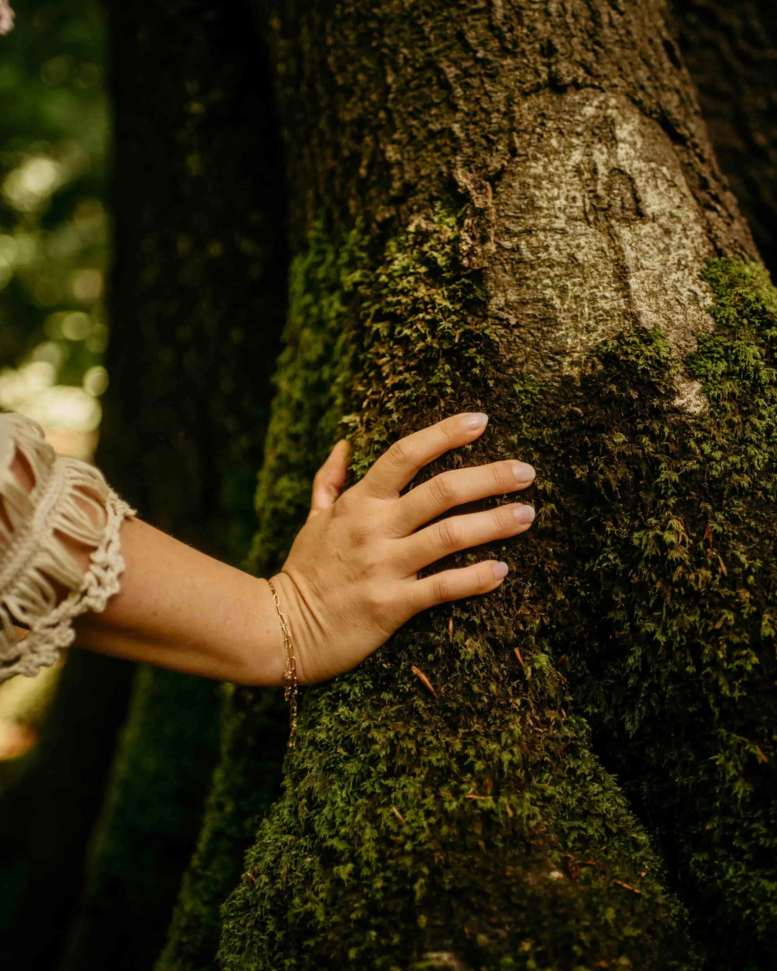 Hand berührt moosbedeckten Baumstamm im Wald, symbolisiert Verbindung zur Natur und Achtsamkeit für emotionales Wohlbefinden.