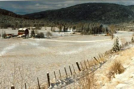 1988- Best farming land in Joe Rich