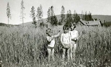 1931- Jim Stuart & Pat Weddell, in the oats