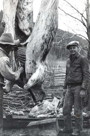 Tuney Lindahl, helping butcher
