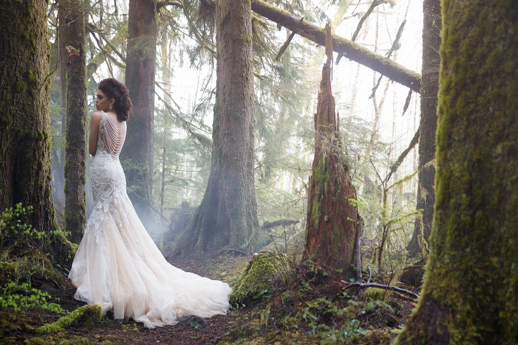 [Allure] C388 dress gallery photo