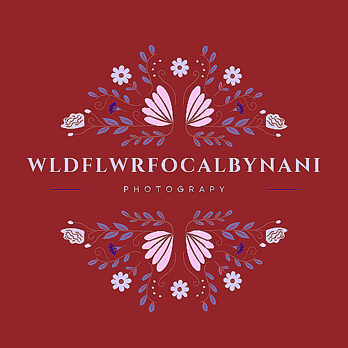 Wldflwrfocalbynani