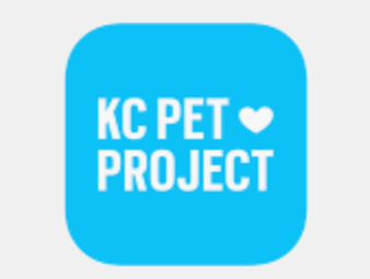 Kitten Snuggle with KC Pet Project 
