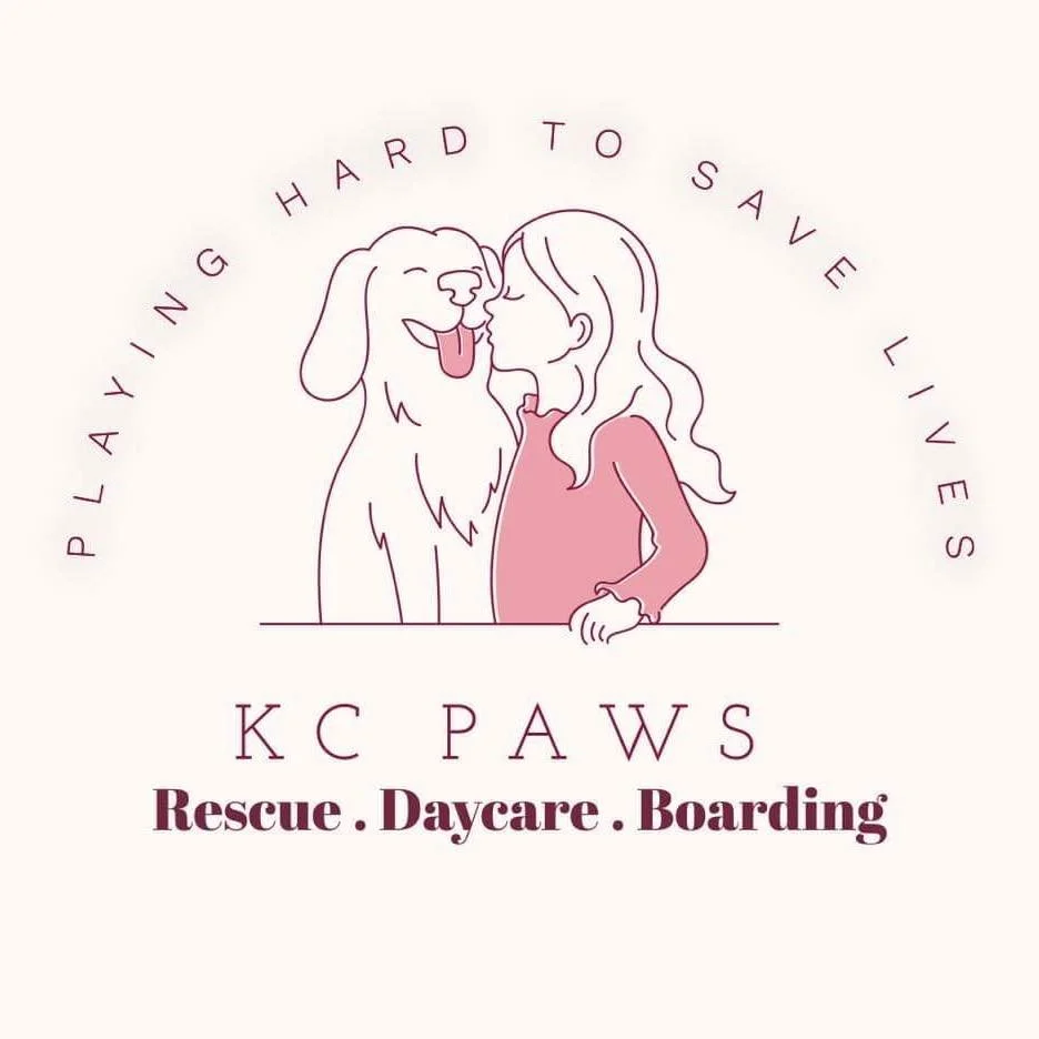 KC Paws Adoption and Give Back Day