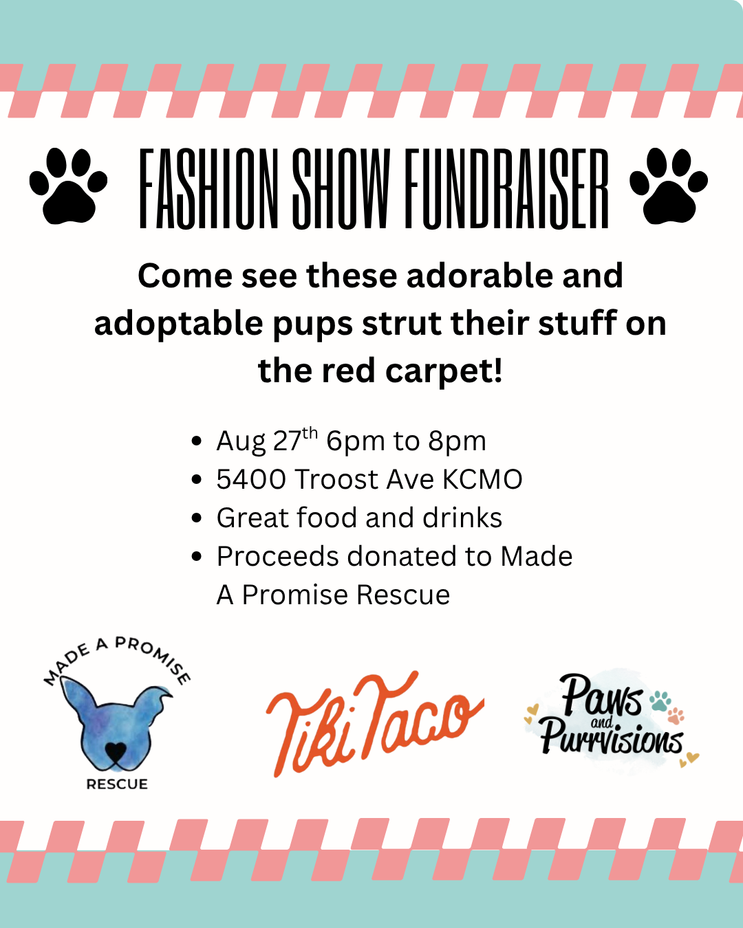 Made a Promise Rescue- Rescue Runway Fashion Fundraiser