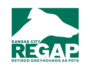 REGAP Adoption Event