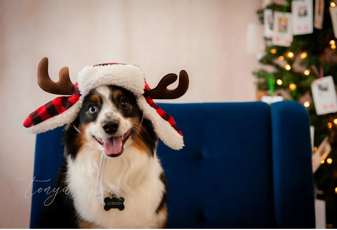 Holiday Photo Shoot In Store