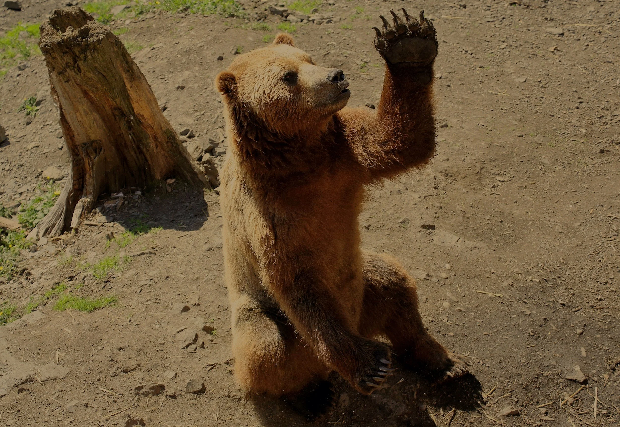 Future of Family Finance FAQs (2026 Edition)