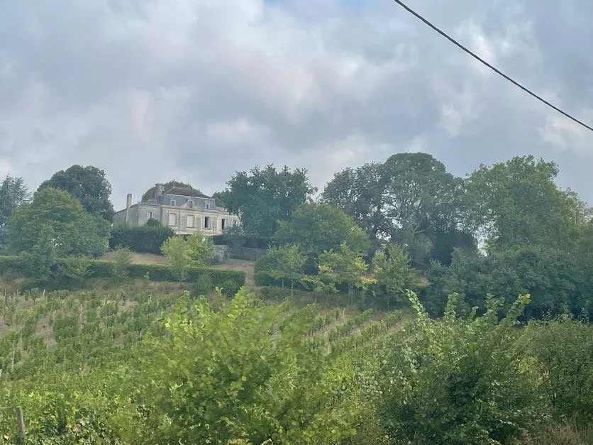 A large house with a European style architecture on a hill, surrounded by trees and vineyards.