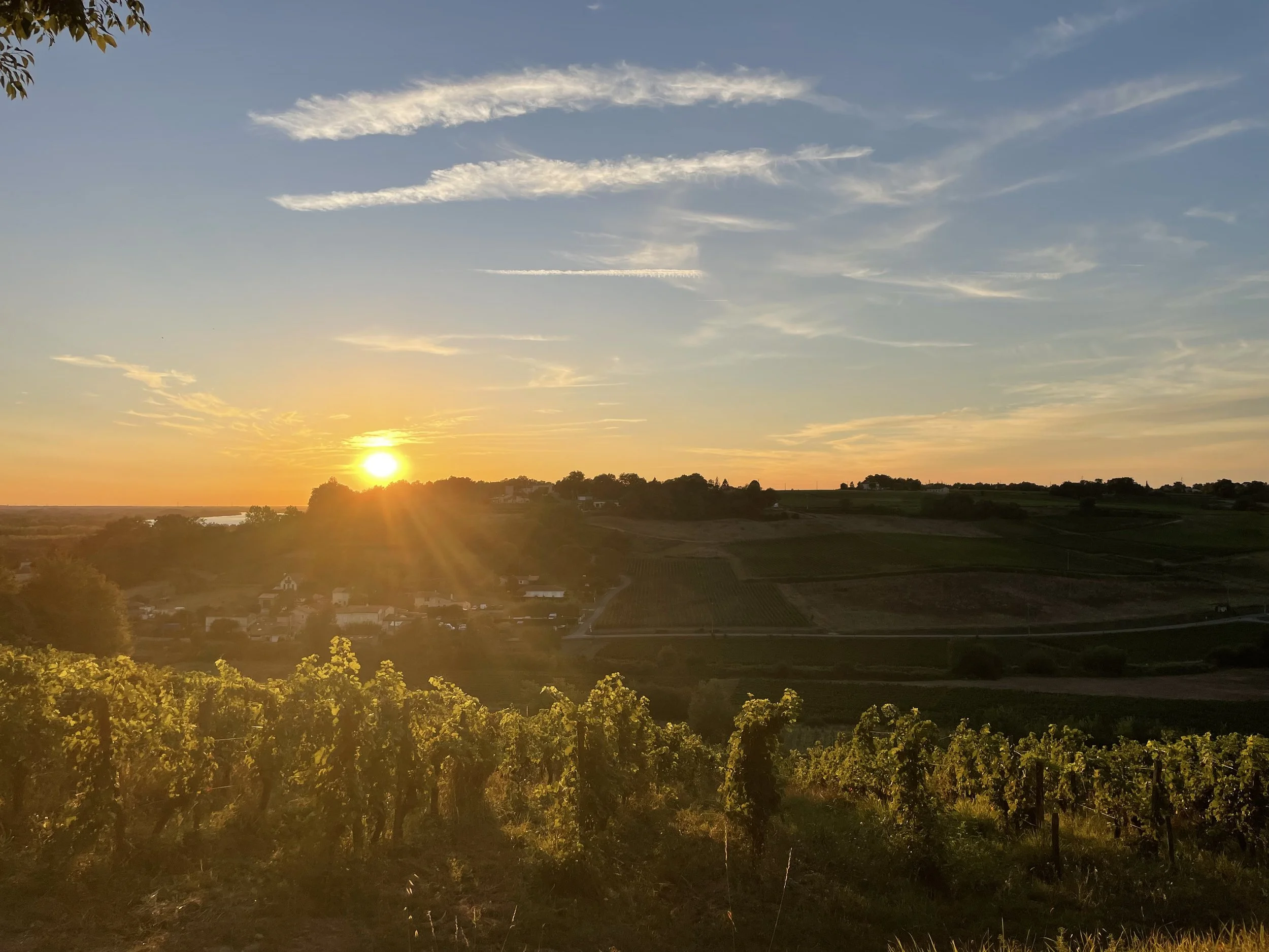 A scenic view of a sunset over farmland with trees, fields, and a small town in the distance, under a partly cloudy sky.