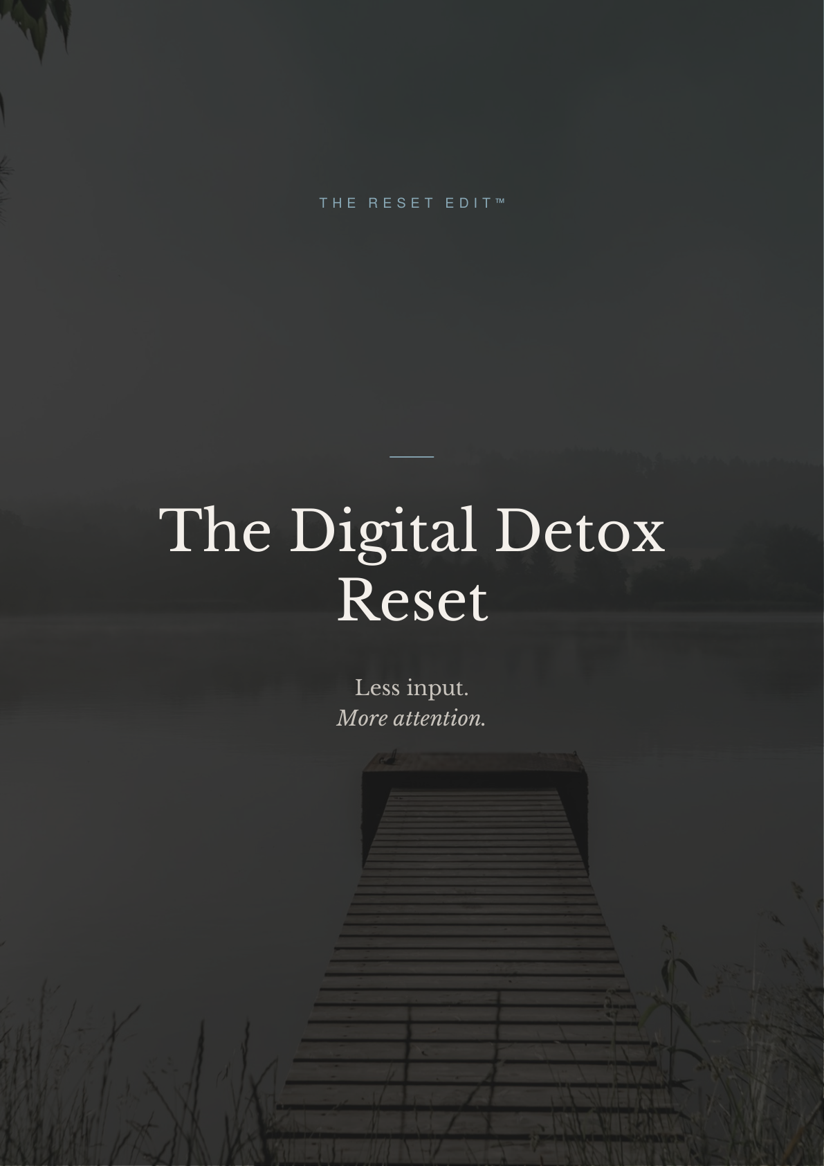 The Digital Detox Reset