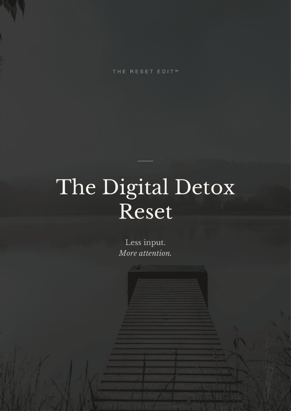 The Digital Detox Reset — cover