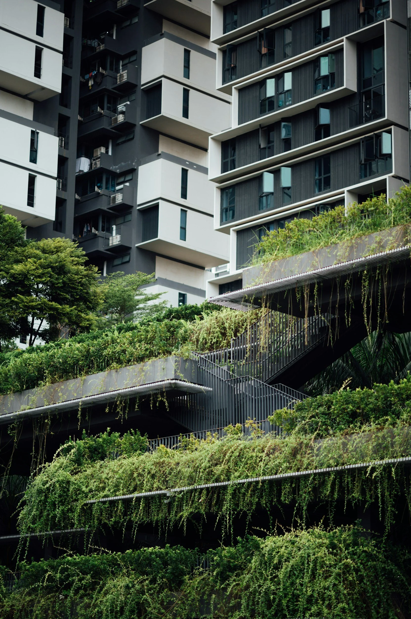 Urban Gardening in 2026: How to Grow Food in Small Spaces (US + UK Guide)