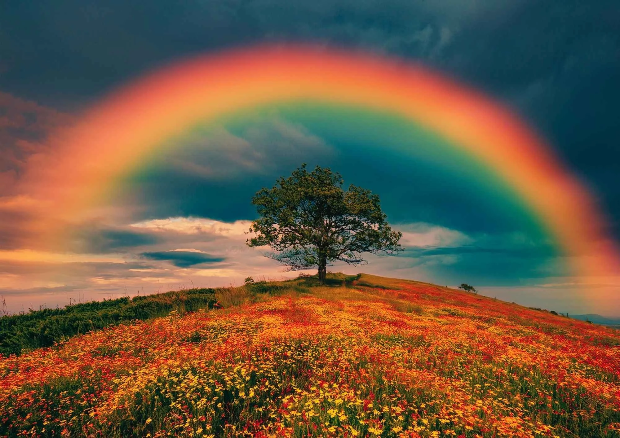 Life After GLP-1: How to Maintain Weight Without the Injection