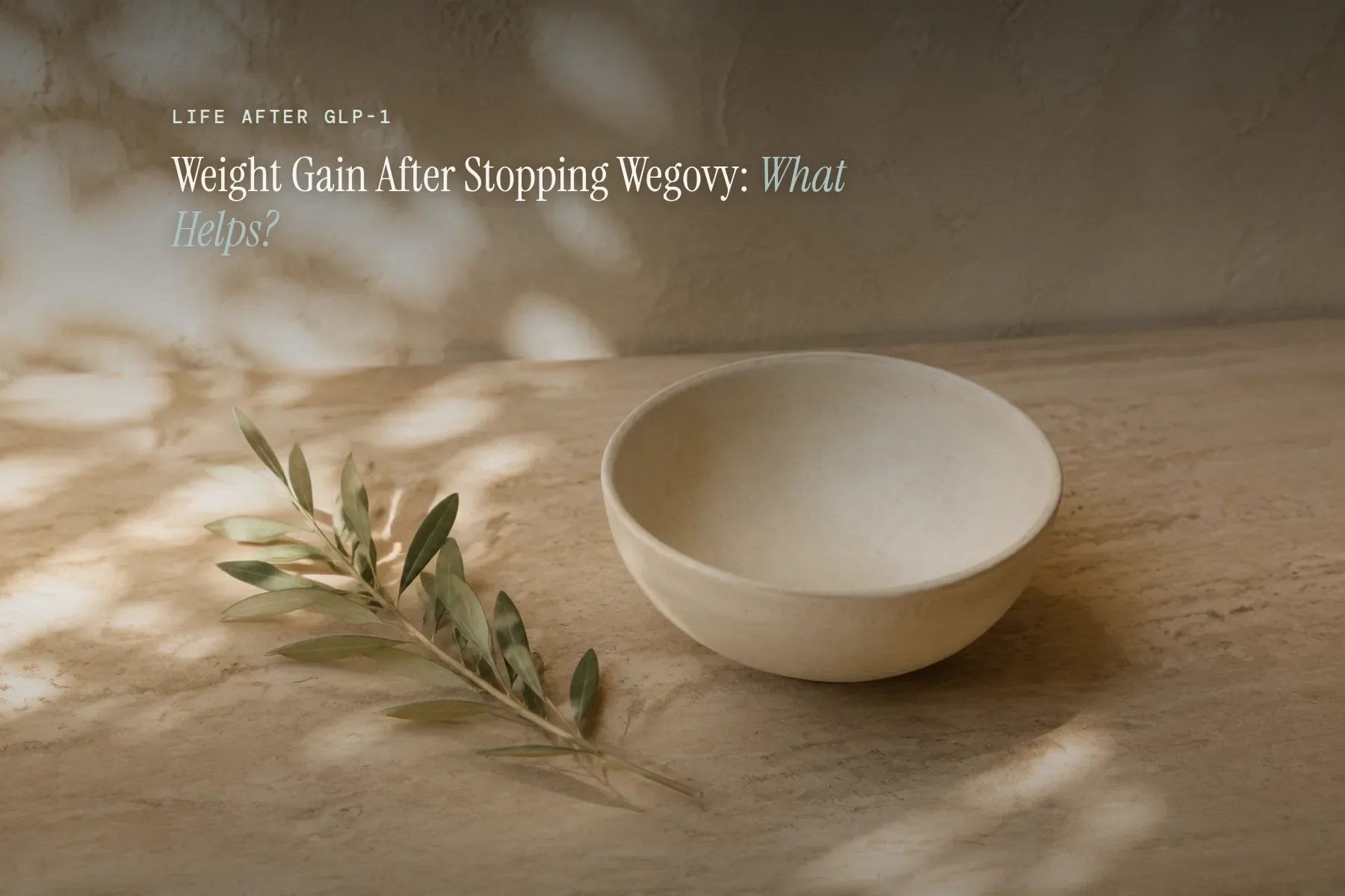 A pale ceramic bowl and a dried olive branch resting on a warm, sunlit stone surface, with dappled shadow across a plaster wall behind — text overlay reads "Weight Gain After Stopping Wegovy: What Helps?" under the eyebrow "Life After GLP-1."
