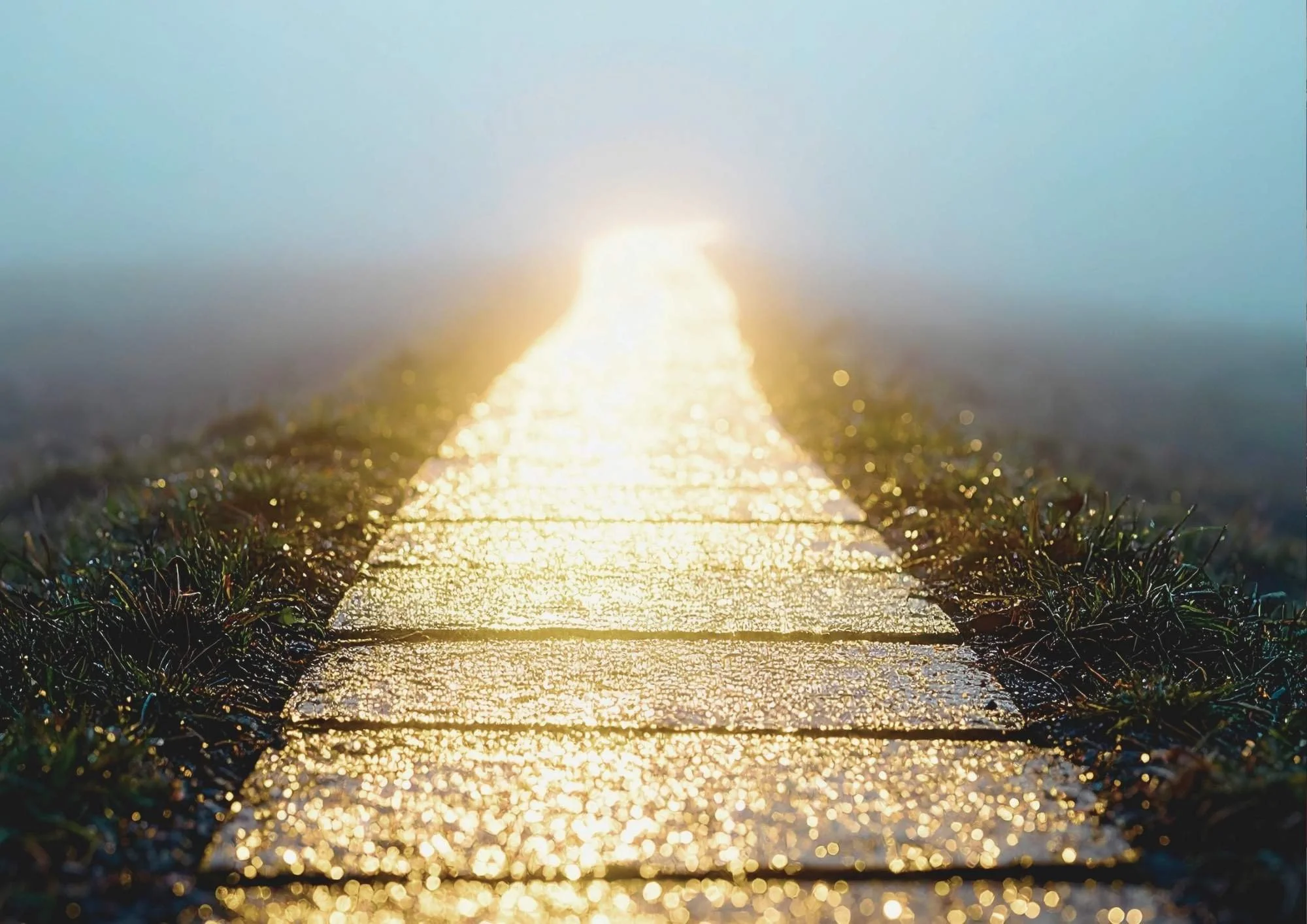 How to rebuild habits and confidence after GLP-1 — The Reset Edit