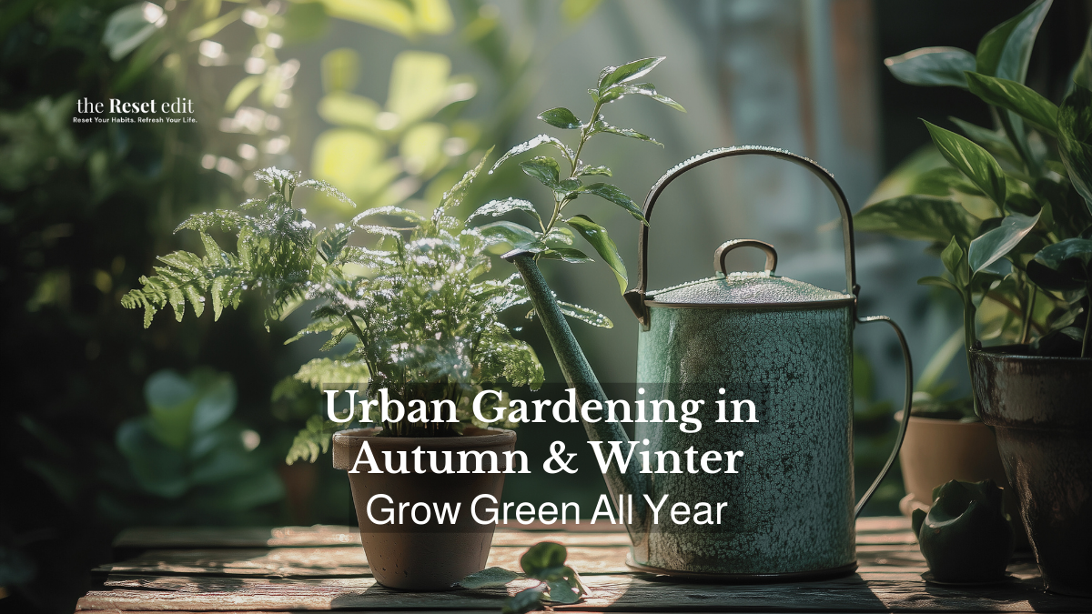 urban-gardening-autumn-winter-grow-green-all-year-small-spaces