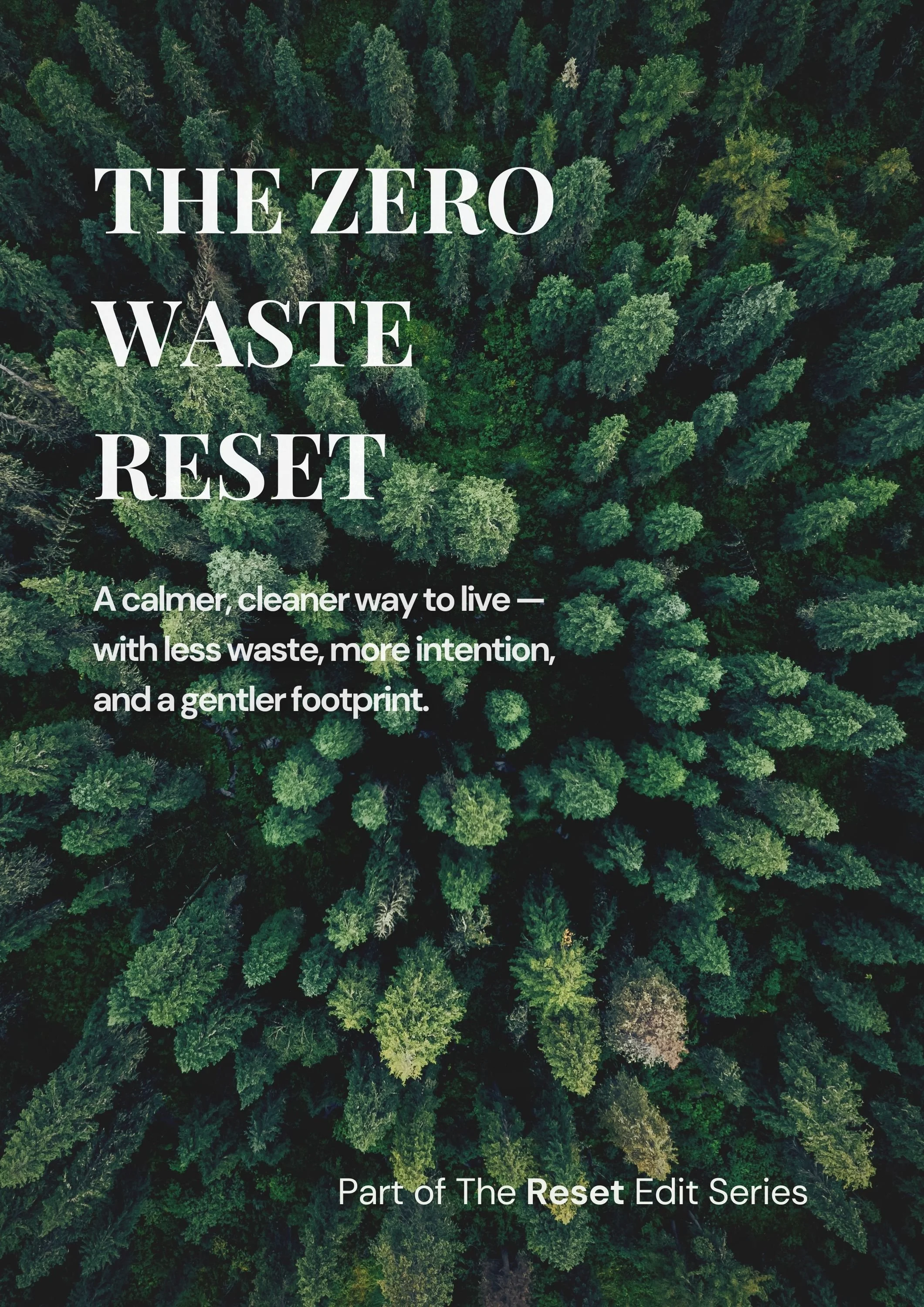 The zero waste reset.jpg