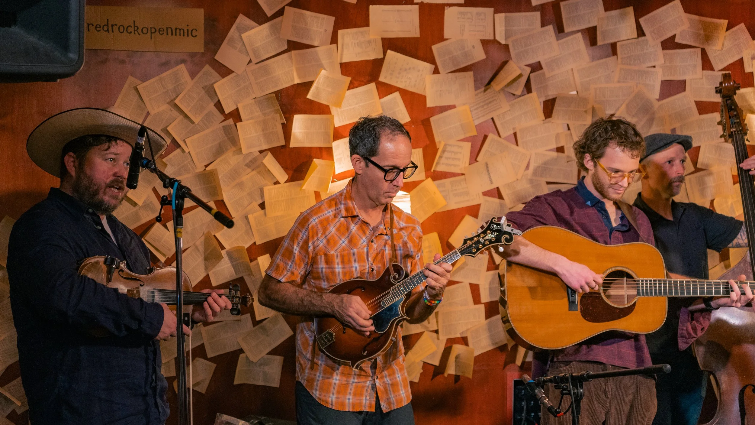 Four musicians, each with an instrument, performing in front of a wall decorated with open books. The first musician on the left holds a violin, wearing a wide-brimmed hat and dark shirt. The second musician in the center plays a mandolin and wears g