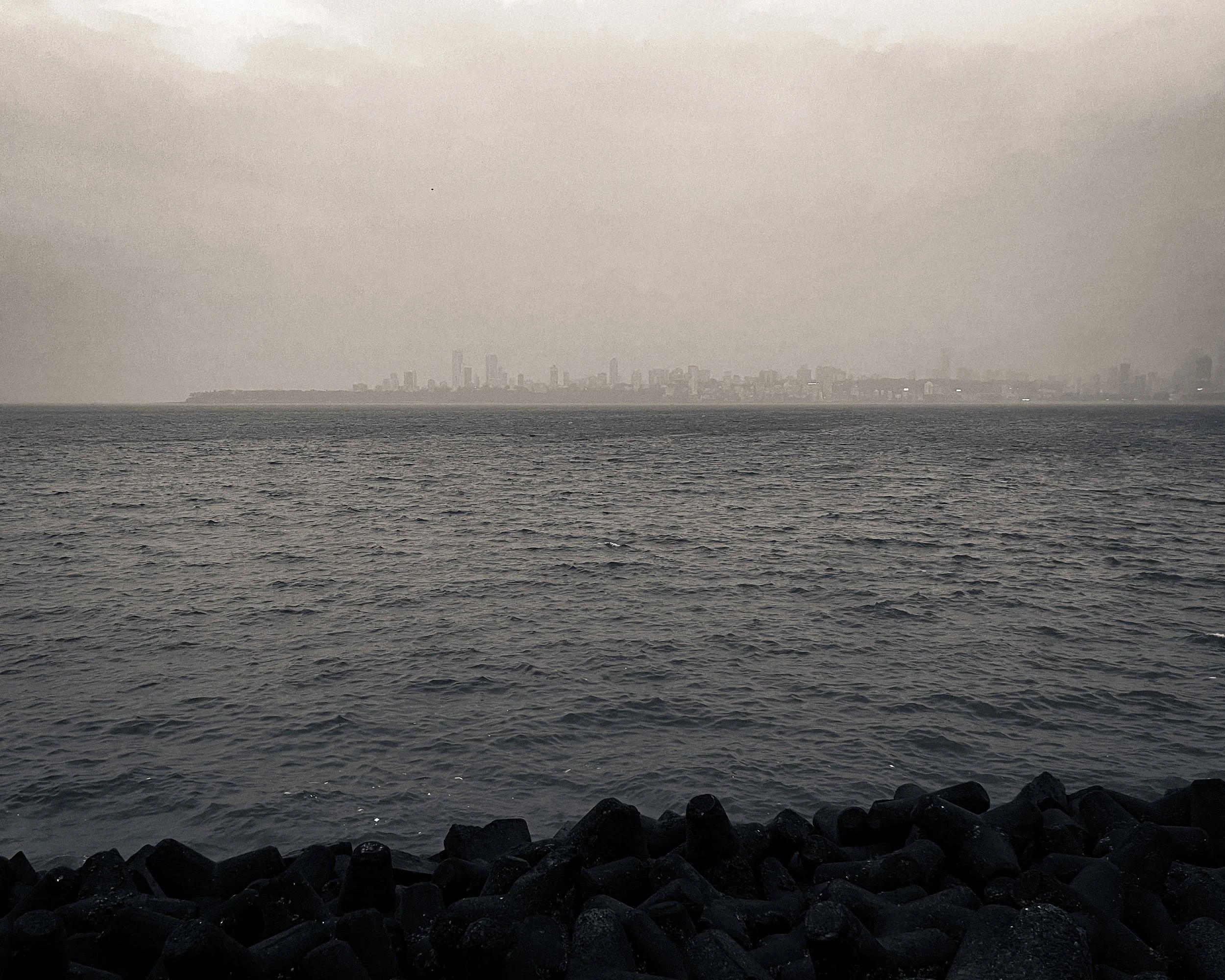 Overcast view of a city skyline across a body of water with rocks in the foreground.